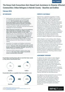 IMPACT KENYA - Factsheet Nairobi Endline, February 2026