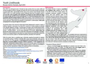 Bosaso Youth Livelihoods Assessment DSRIS