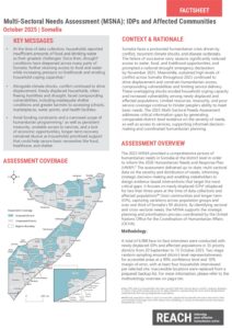 REACH SOM MSNA, Factsheet (October 2025)