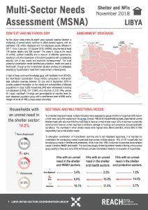 LBY_Factsheet_MSNA_Shelter_November 2018