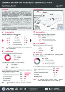 Factsheet_JMCNA_Burtinle_DistrictProfile_August2017
