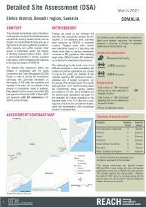 REACH SOM Factsheet DSA Shibis March 2021