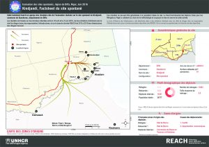 REACH_NER_Factsheet_Displacement Site Kindjandi_Juin2016