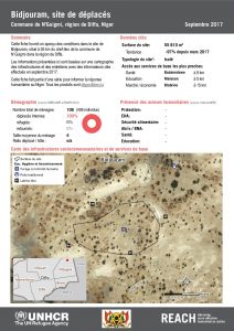 NER_Factsheet_Profil Site de Déplacés de Bidjouram_Septembre 2017