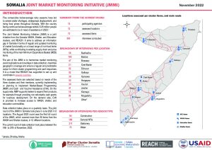 REACH Somalia Factsheet JMMI November Q4. 2022
