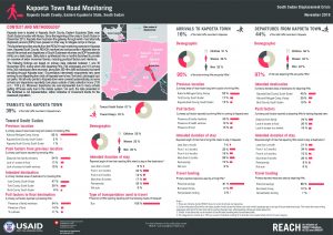 SSD_FACTSHEET_Kapoeta Town Road Monitoring_November 2018