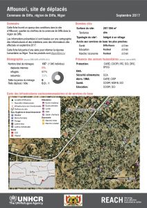 NER_Factsheet_Profil Site de Déplacés de Affounori_Septembre 2017