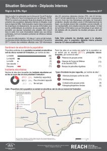 NER_Factsheet_Situation Sécuritaire_PDI_Novembre 2017