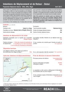 NER_Factsheet_Evaluation Protection, Intentions de Déplacement et de Retour, Dubai, Déplacés Internes_Avril 2017
