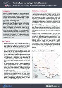 Yambio, Nzara and Ezo Rapid Market Assessment brief, South Sudan - February 2020
