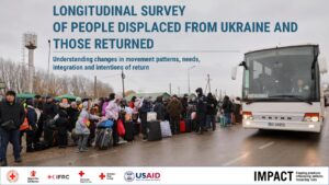 Economic integration of Ukrainians in Poland by the end of 2023: insights and challenges