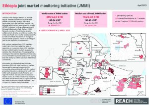 REACH Ethiopia JMMI Factsheet, April 2023