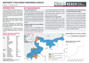 Northwest Syria Market Monitoring Situation Overview, November 2020