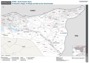 REACH_SYR _Map_NES_Reference_20MAY2018_A0_En