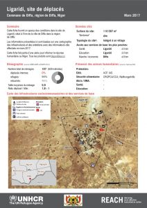 NER_HCR_Factsheet_Profil Site de Déplacés_Commune de Diffa_Ligaridi_Mars 2017.pdf