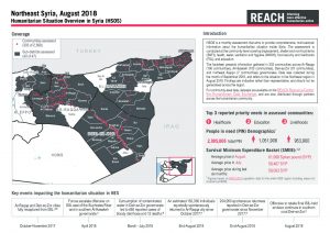 REACH_SYR_Factsheet_HSOS Regional Factsheet_NES_August 2018