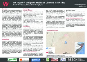 REACH_SOM_Factsheet_Protection_Assessment_Taalo Ad IDP Site_Galkacyo