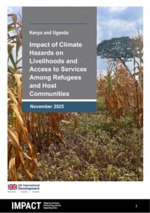 REACH Regional_Impact of Climate Hazards on Livelihoods and Unpaid Labour_Report_November 2025
