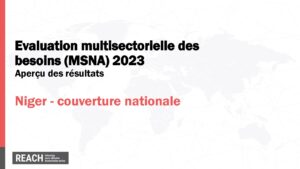 REACH Niger Aperçu des résultats MSNA 2023 - couverture nationale