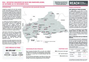REACH RCA Fiche informative Suivi des marchés Octobre 2021
