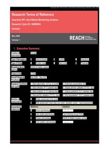 REACH_Somalia_Terms of Reference_Non-Food Items Joint Market Monitoring Initiative_May 2020