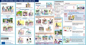 RCA : Vulgarisation de résultats de l'évaluation multisectorielle des besoins (MSNA) 2022 - Nana Gribizi PDI site