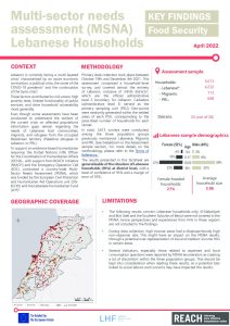 REACH: MSNA 2022, Food security Factsheet, April 2022