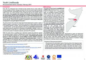 DSIRS Youth livelihoods assessment in Dhuusamareeb, Somalia - July 2019
