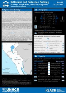 Settlement and Protection Profiling, all camps - November 2019