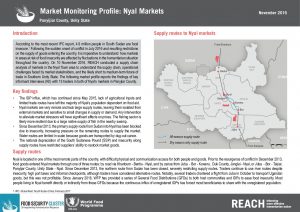 SSD_Factsheet_Market Monitoring Profile_Nyal_November 2016