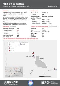 NER_Factsheet_Displacement Site Adjiri_Novembre2016