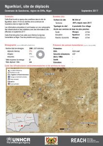 NER_Factsheet_Profil Site de Déplacés de Nguelkiari_Septembre 2017