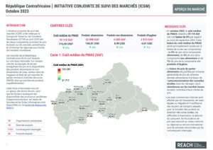 REACH_RCA_Fiche_informative_Suivi_des_marchés_Octobre_2023