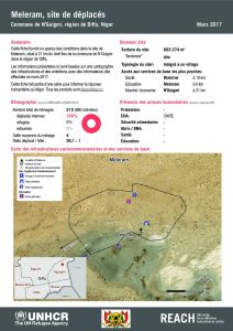 NER_HCR_Factsheet_Profil Site de Déplacés_Commune de N'Guigmi_Meleram_Mars 2017