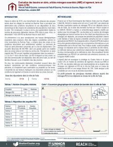 Evaluation des besoins en abris, articles ménagers essentiels (AME) et logement terre et biens (LTB) dans la ville de Fada N'Gourma, Région de l'Est