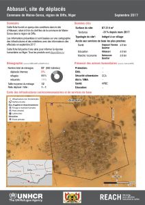 NER_Factsheet_Profil Site de Déplacés de Abbasiri_Septembre 2017