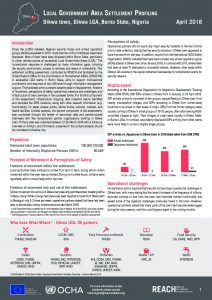 NGA_Factsheet_LGA Settlement Profiling_Dikwa_April 2018