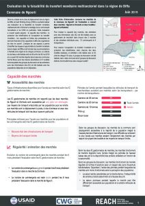 NER_Factsheet_Evaluation Cash Ngourti_Juillet 2019