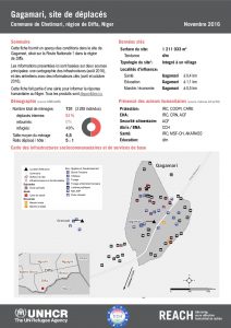 NER_Factsheet_Displacement Site Gagamari_Novembre2016