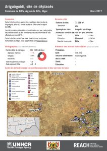 NER_HCR_Factsheet_Profil Site de Déplacés_Commune de Diffa_Ariguirguidi_Mars 2017.pdf