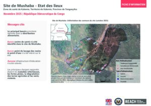 REACH - RDC - Cartographie et Etat des lieux - Site de Mushaba - Tanganyika - Novembre 2025