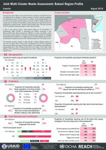 SOM_Factsheet_JMCNA_Bakool Region_August 2018