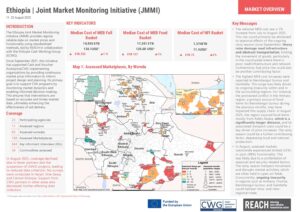REACH Ethiopia - Joint Market Monitoring Initiative (JMMI) FACTSHEET - August 2025