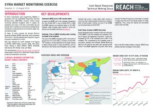 SYR_Situation Overview_Market Monitoring Exercise NE_August 2019