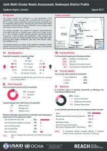 Factsheet_JMCNA_Owdweyne_DistrictProfile_August2017