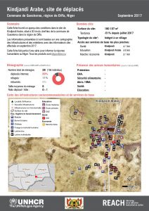 NER_Factsheet_Profil Site de Déplacés de Kindjandi Arabe_Septembre 2017