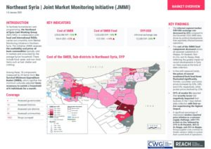 Northeast Syria Joint Market Monitoring Initiative (JMMI) January 2025