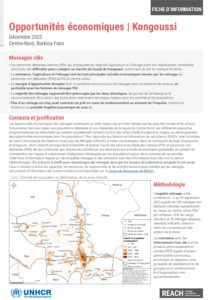 REACH BFA - Kongoussi | Opportunités économiques fiche d'information