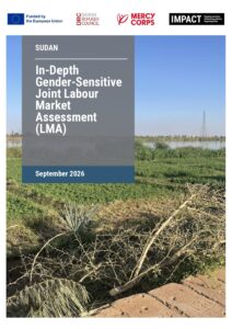 In-Depth Gender-Sensitive Joint Labour Market Assessment, Sudan | EMPOWER Programme - Report
