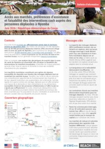 REACH RDC ICSM Rapport Final Nyemba (mai 2026)